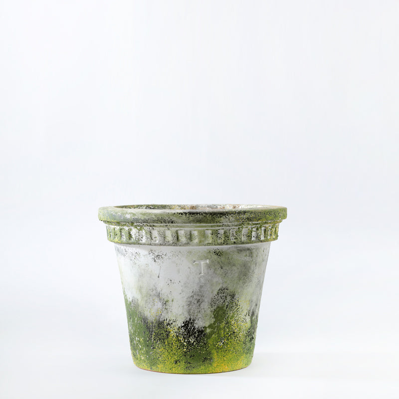 VASO S&amp;H 20.5CM AL 24.5CM DBOCA