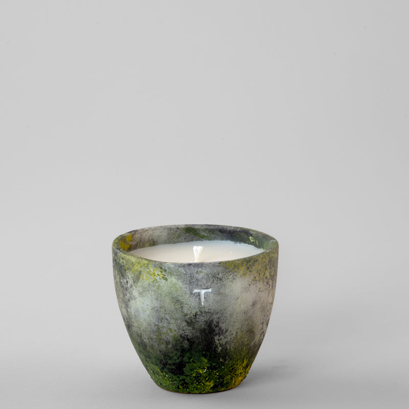 SCENTED CANDLE WOOD PINE 368 G / BOWL CONTEMPO 10 CM - LICHEN QUARRY